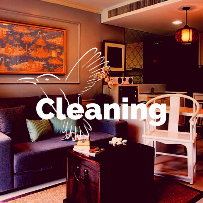 cleaning-playlist-playlist-kolibri-music