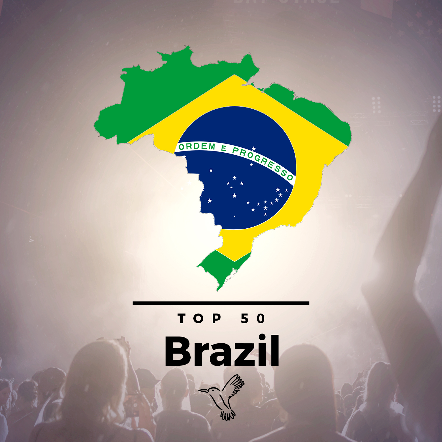 Top 50 Brazil Playlist - Kolibri Music