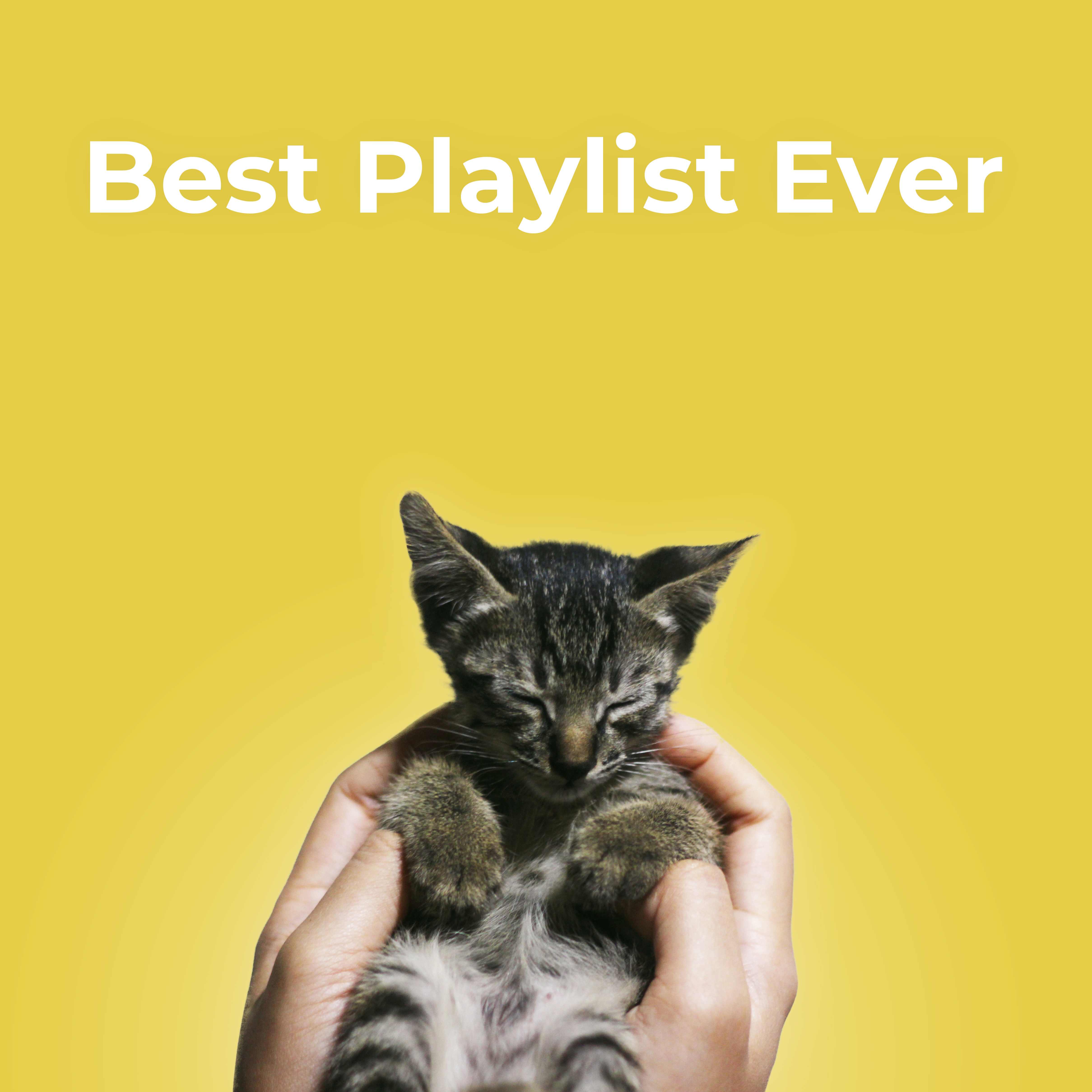 best playlists
