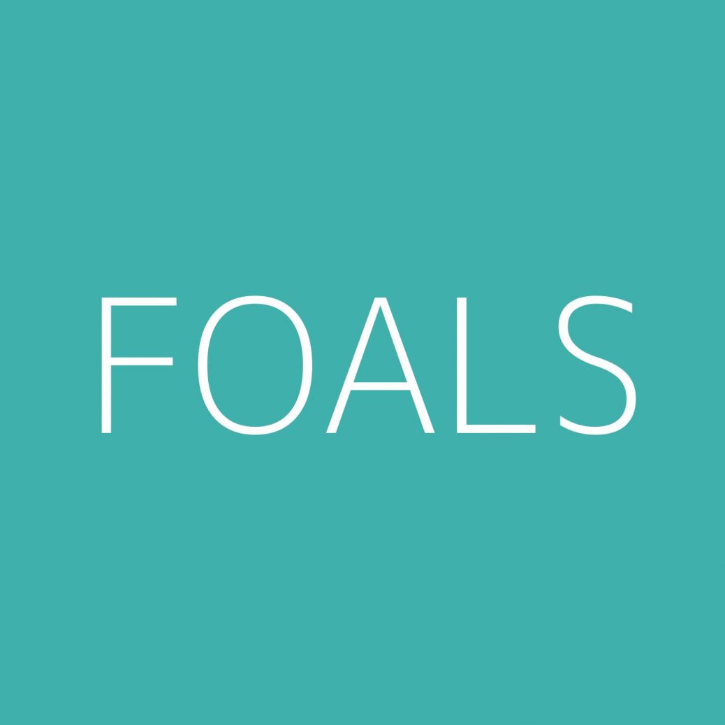 foals-playlist-most-popular-playlist-kolibri-music