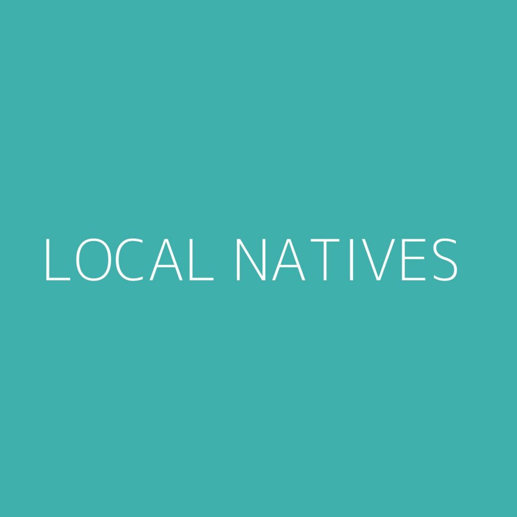 Local Natives Playlist Most Popular Playlist Kolibri Music