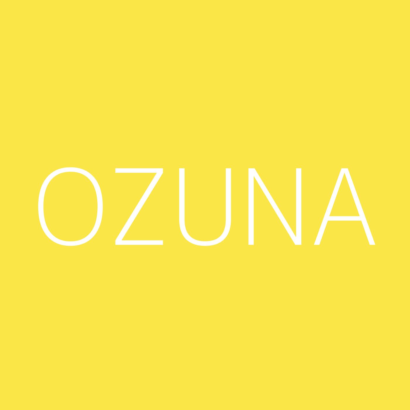 Ozuna Playlist Artwork