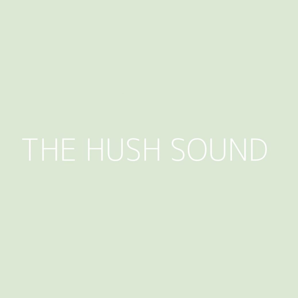 The Hush Sound Playlist - Most Popular Playlist - Kolibri Music